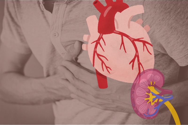 Heart & Kidney Health